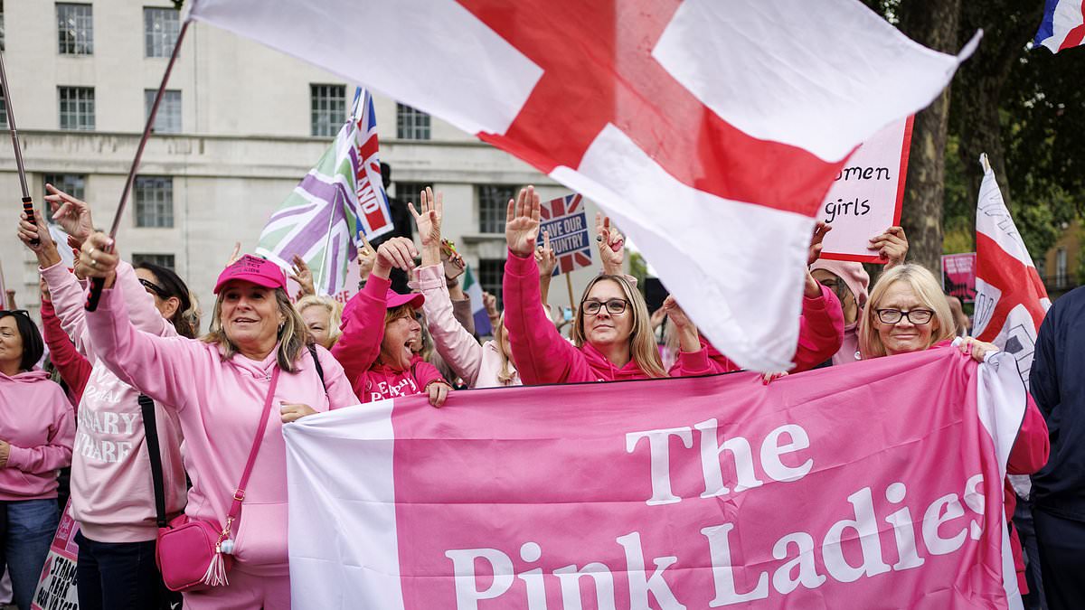 'Pink Lady' anti-migrant protesters descend on Parliament in fresh women-led demonstration over asylum hotels