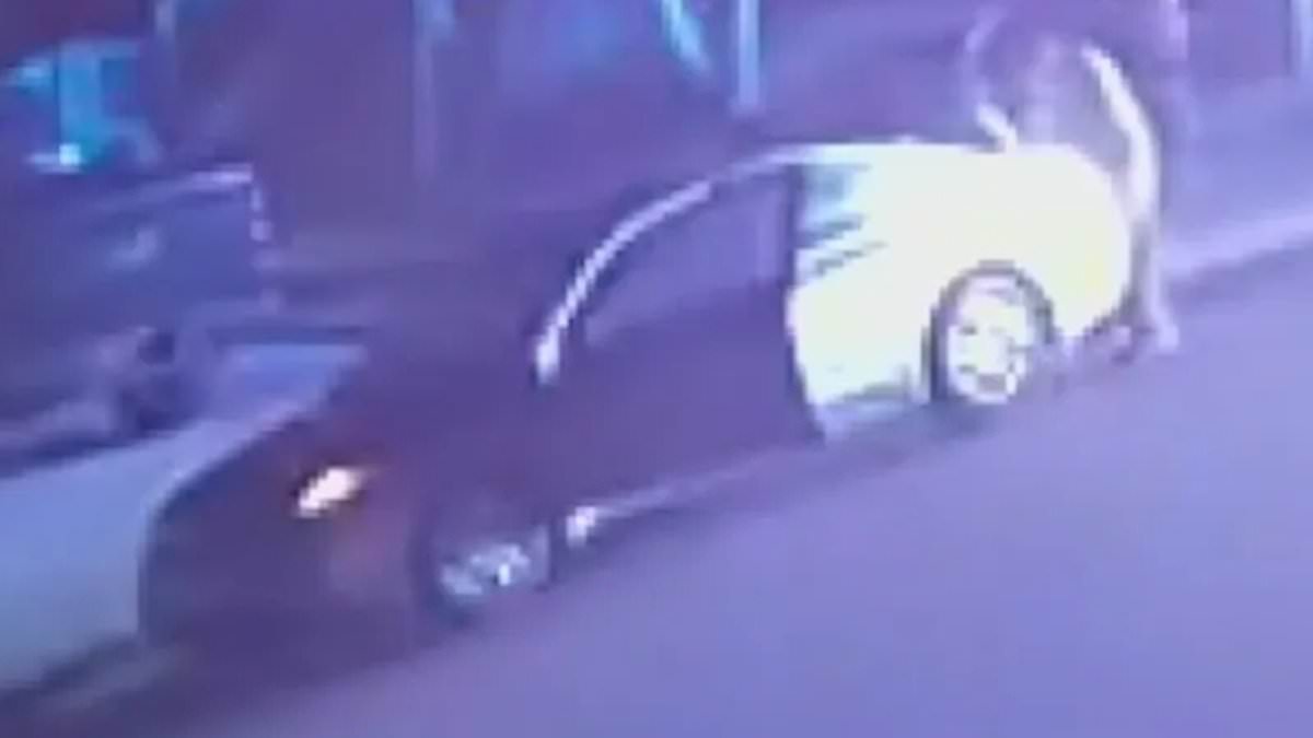 California kidnapper EXECUTES victim in ritzy neighborhood after cops caught up with them