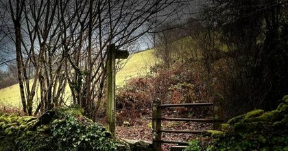 Beautiful pictures taken across the old Gwent region