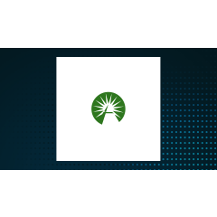 Fidelity Metaverse ETF (NASDAQ:FMET) Sees Significant Decline in Short Interest