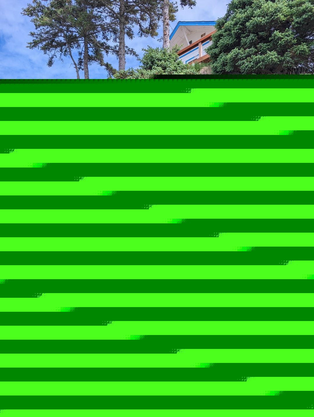 Mildly Interesting - A deep cave under my house