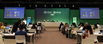 Putting resilience at the heart of COP28