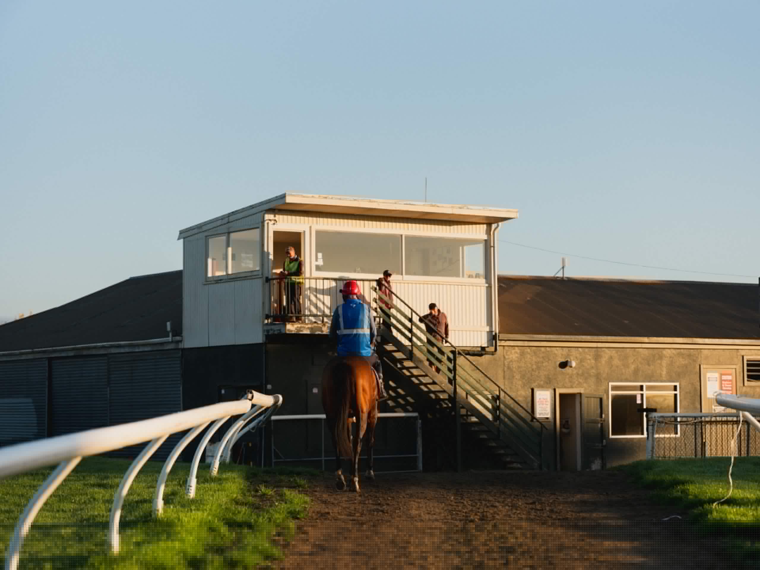 The horses of Hastings