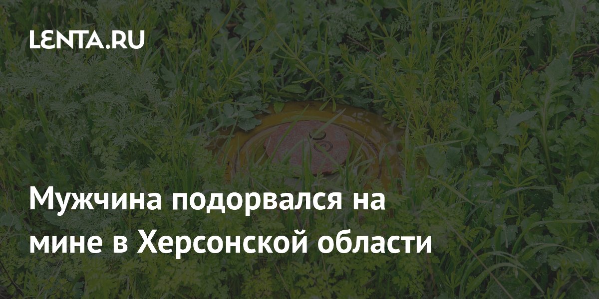 Мужчина подорвался на мине в Херсонской области