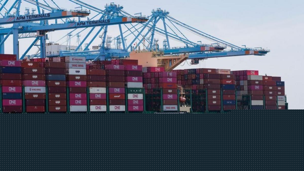 US states sue to block Trump tariffs impacting dozens of countries