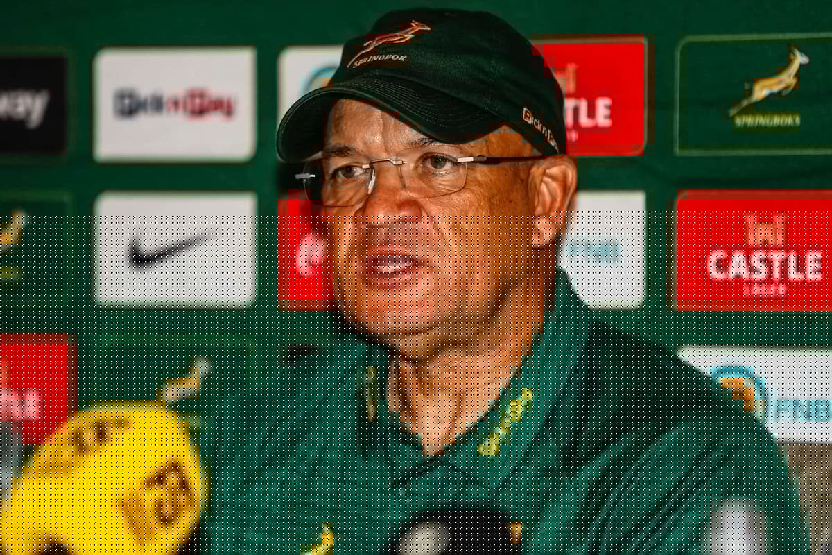 Springboks: Argentina Test is no warm-up for All Blacks Test series