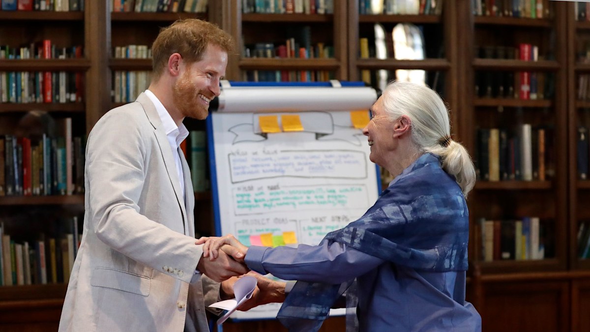 Prince Harry's touching moment with Jane Goodall resurfaces after revealing she held Archie as a baby