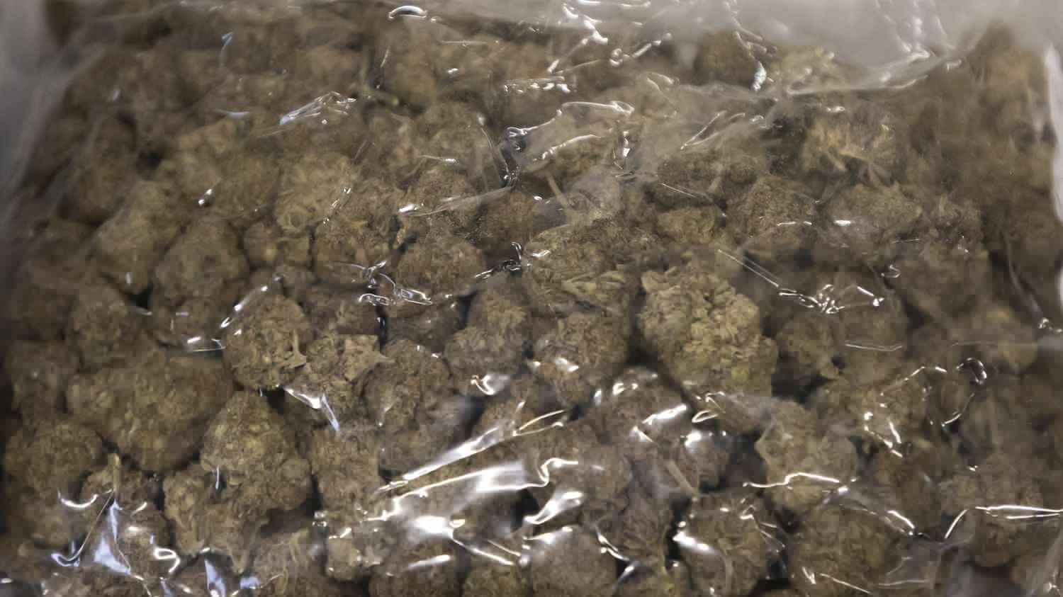 Au moins 11 jeunes Français sont détenus en Thaïlande pour trafic de cannabis depuis le début de l'été