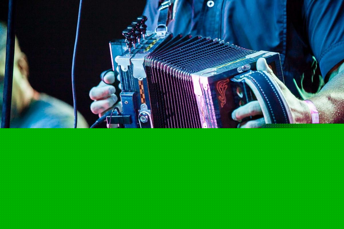Everything You Need to Know Before Marshland Festival 2026