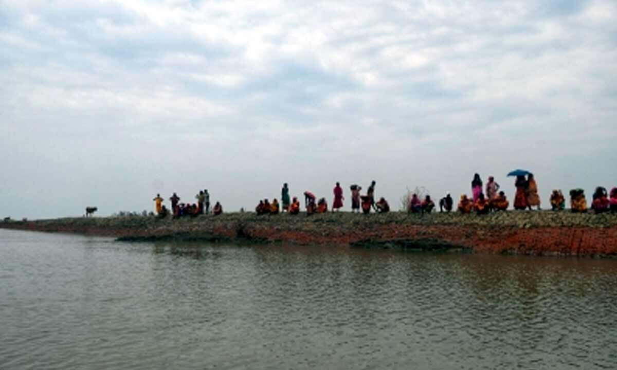 Bengal govt starts process for mangrove restoration on encroached Sundarbans forestland
