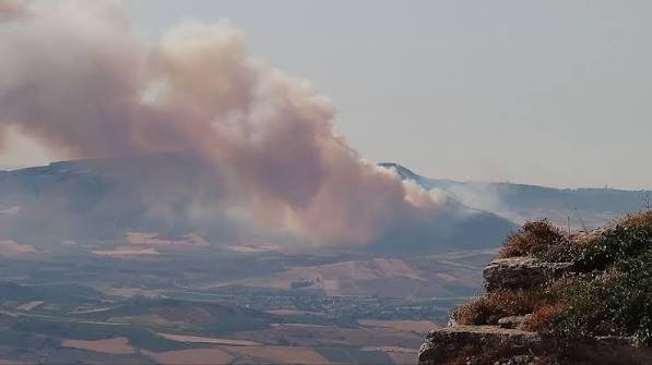 Incendi, 18 milioni per ricostruire i boschi siciliani. In provincia di Trapani c’è un solo progetto: 990 mila euro a Salemi