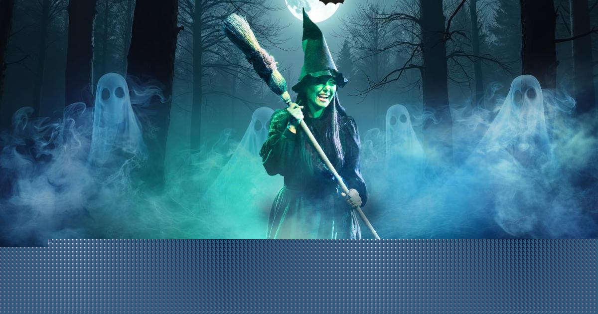 Giant skeletons coming to Dorset woods for Halloween event