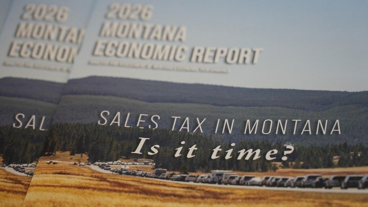 State economists discuss impacts of potential future sales tax