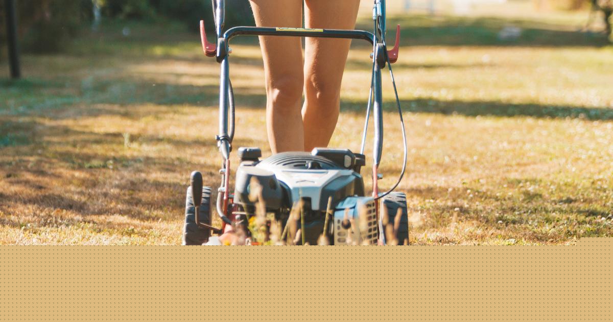 Expert reveals cheap hack to revive dry and patchy lawns through the summer
