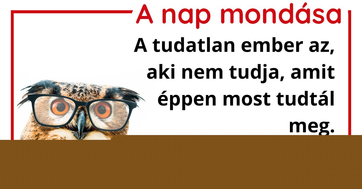 A nap mondása