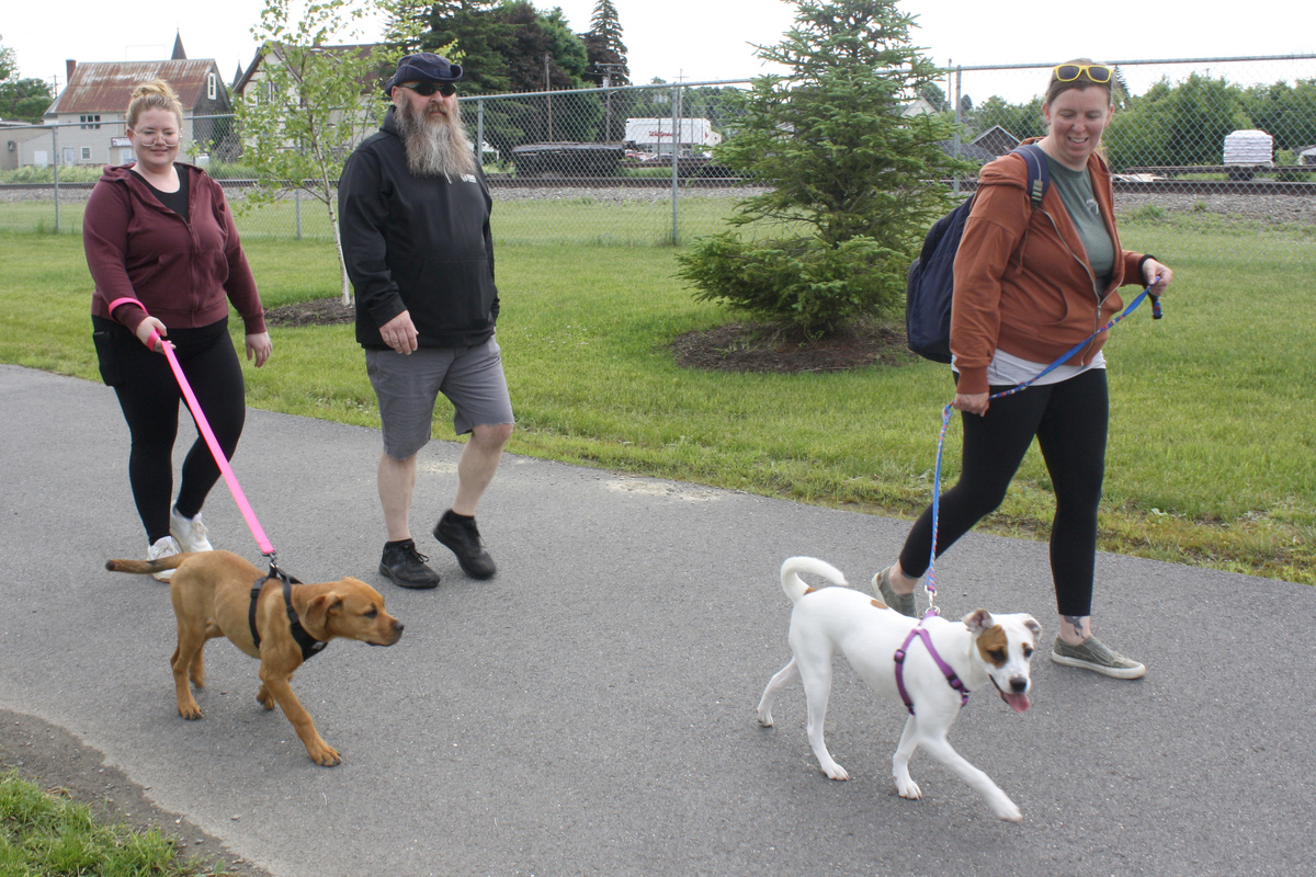 Parvovirus outbreak shutters Aroostook dog parks