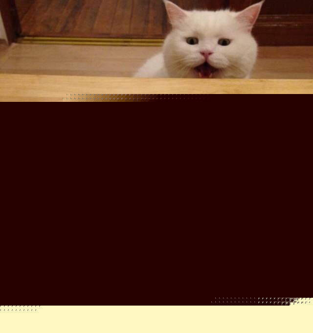 Cats - Gasp