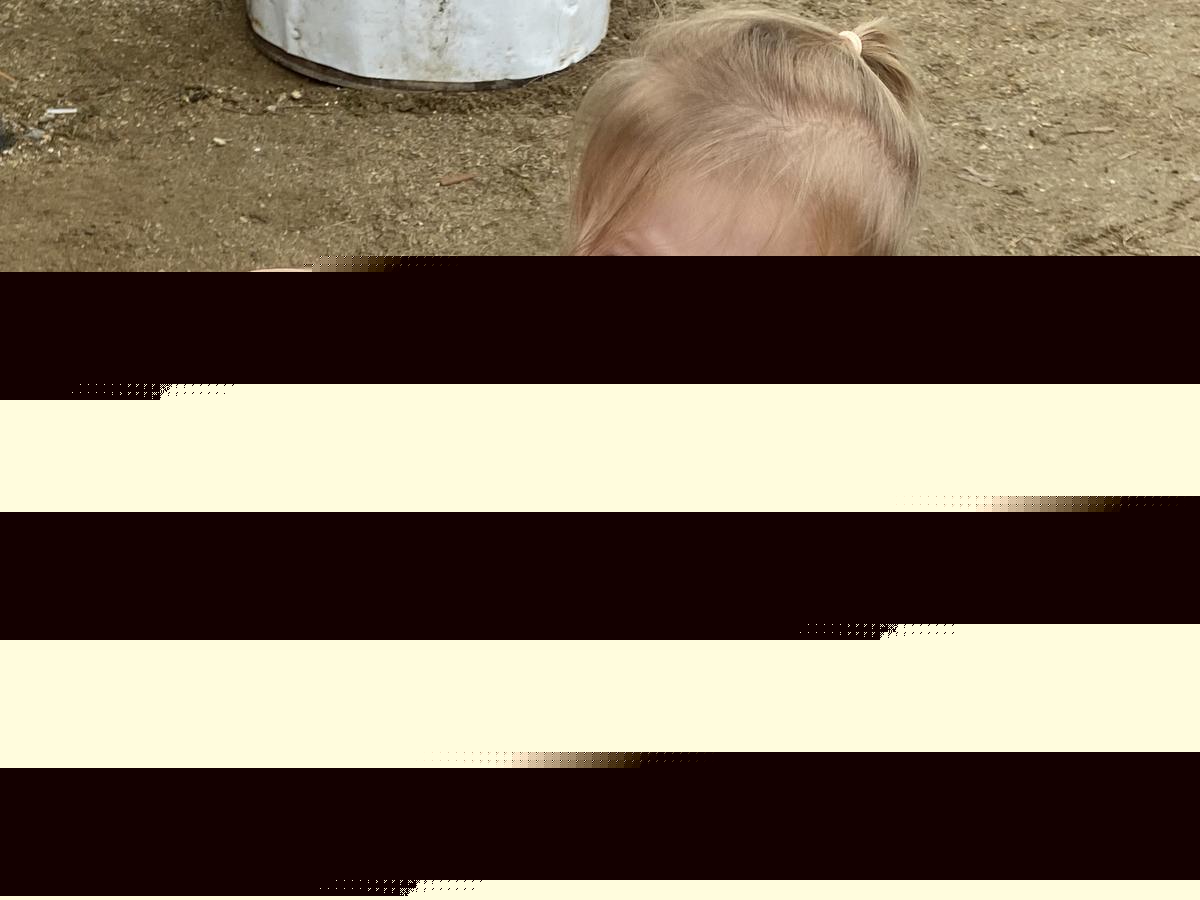 2026 Blue Hill Fair Schedule Released