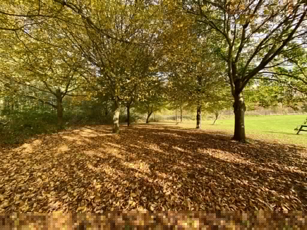 Nottinghamshire Weather: Monday 29 September