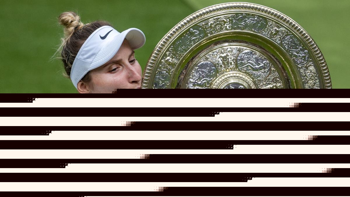 Dog walk and expletive text - key findings in Vondrousova anti-doping case