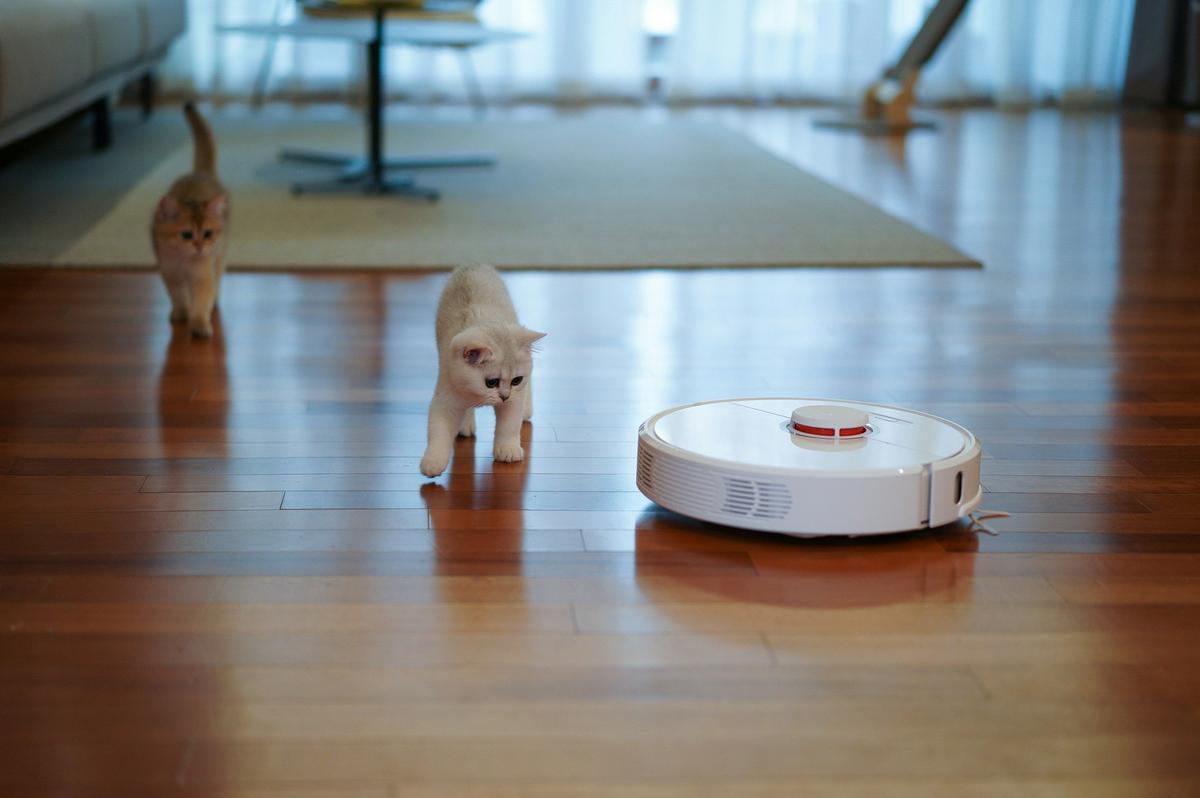 Roombas are Doomed in New York State as Ban Looms