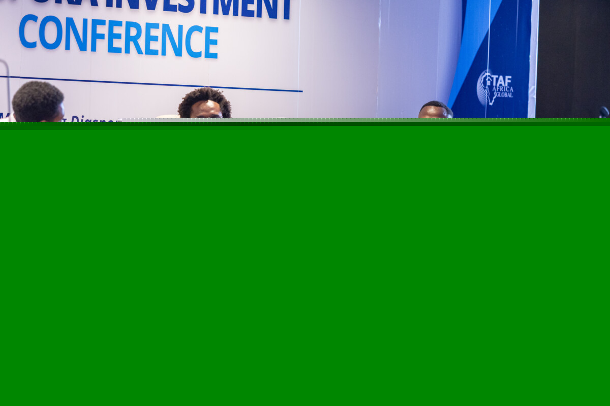 Building Diaspora Investment Infrastructure: Lessons from the Sierra Leone Diaspora Investment Conference