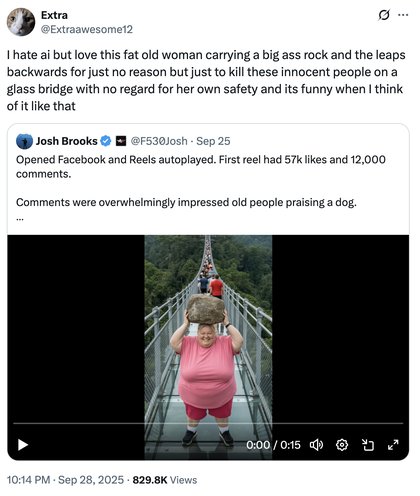 AI Lady With Rock Breaking Glass Bridge - I hate ai but love this fat old woman carrying a big ass rock and the leaps backwards for just no reason but just to kill these innocent people on a glass bridge with no regard for her own safety and its funny when I think of it like that