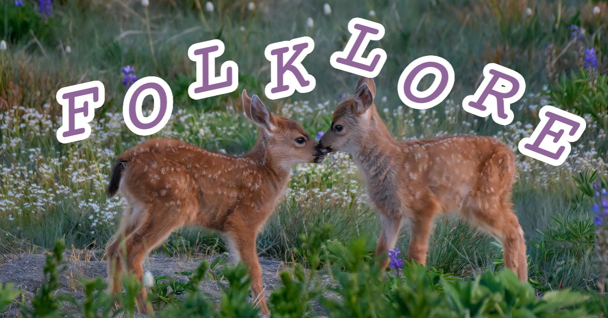My Super Scientific Animal Algorithm Will Totally Guess Your Favorite Taylor Swift Era Based On The Furry Friends You Pick