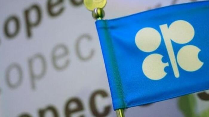 OPEC+ Slams Reuters Leak On Oil Plans As "Wholly Inaccurate And Misleading"