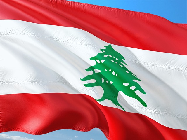 Israelul a ars peste 120 de hectare de plantații de măslini seculare în Liban