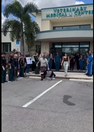 Breaking Update: K9 Ace once critically wounded goes home after protecting 3 human deputies