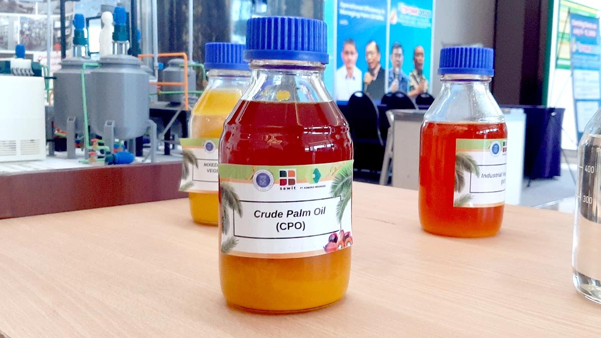 KPBN Inacom CPO Climbs 1.19% on Wednesday (28/1), Global Vegetable Oil Rally Lifts Market