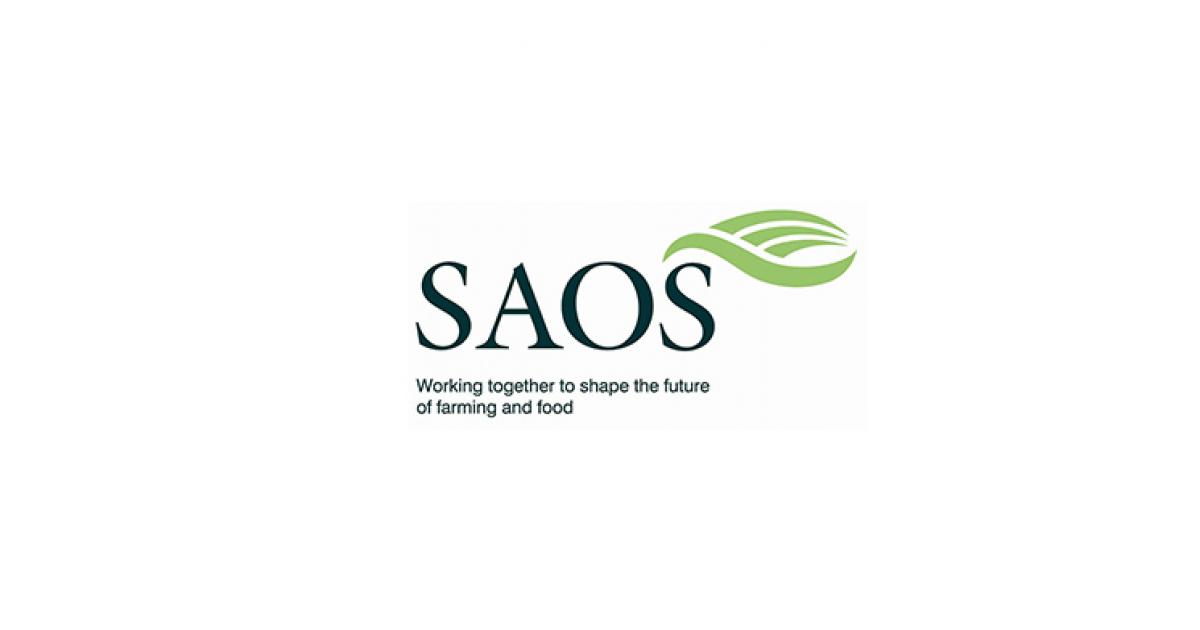 SAOS Conference 2026 explores growth through home markets