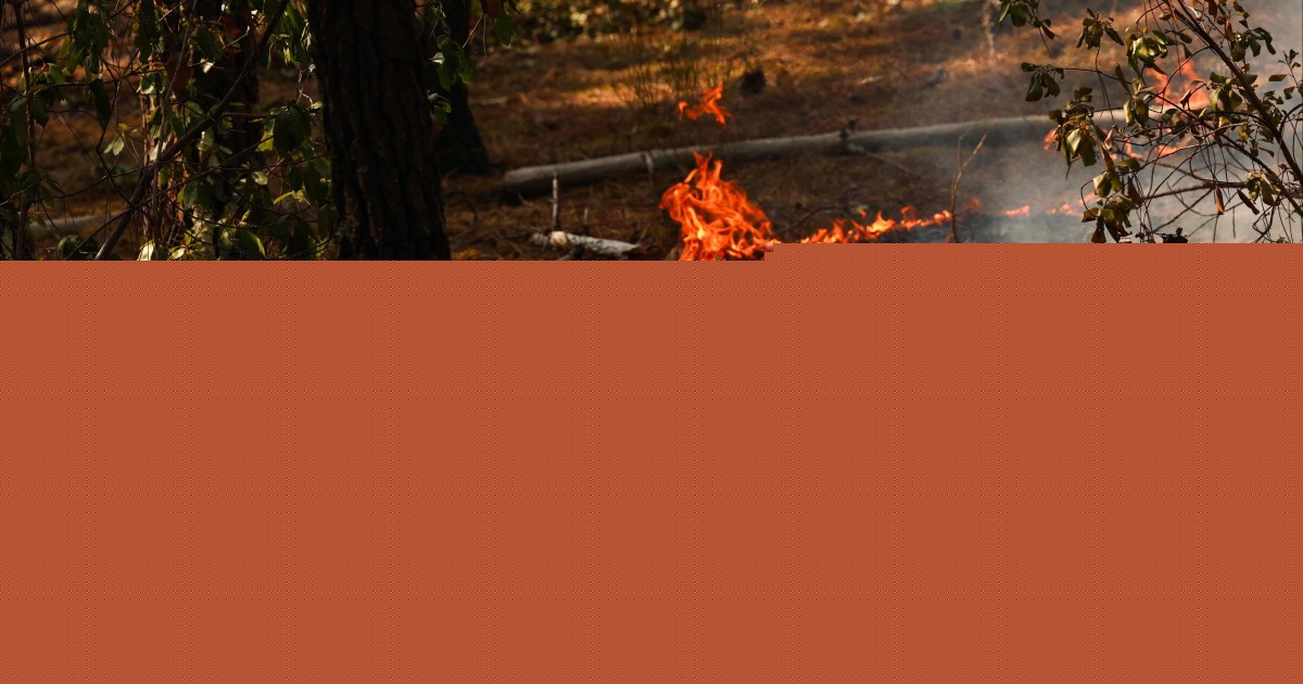 France battles wildfire 4 times the size of Paris