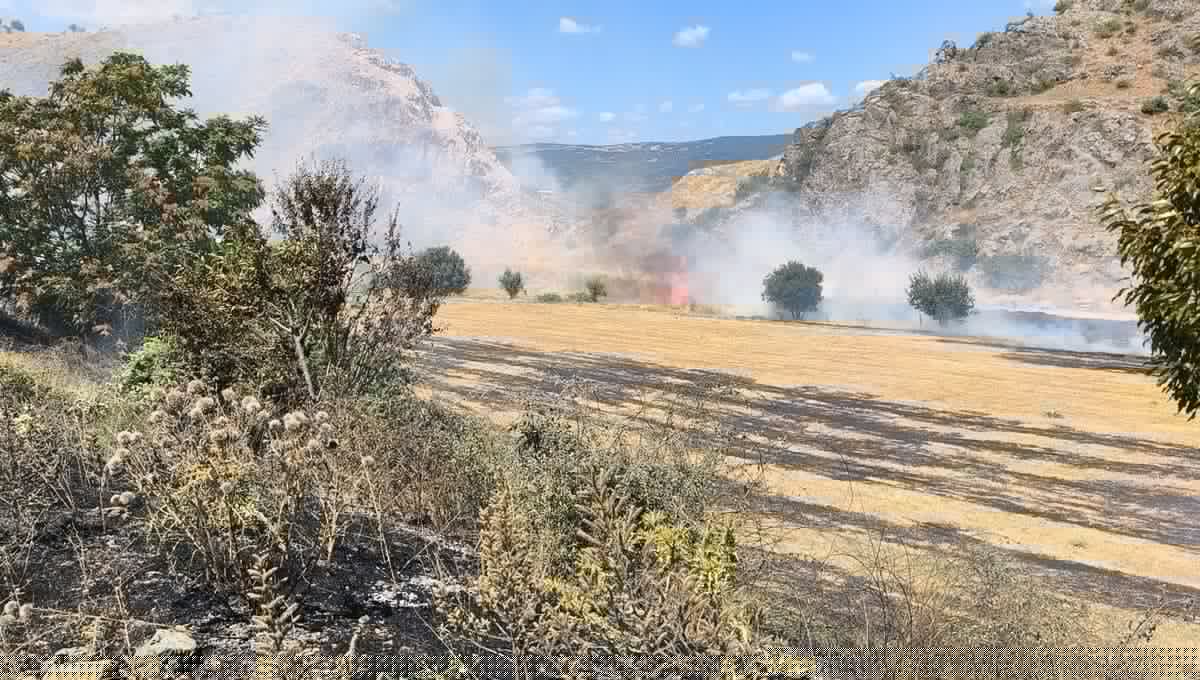 Tokat'ta Ot Yangını Büyümeden Söndürüldü
