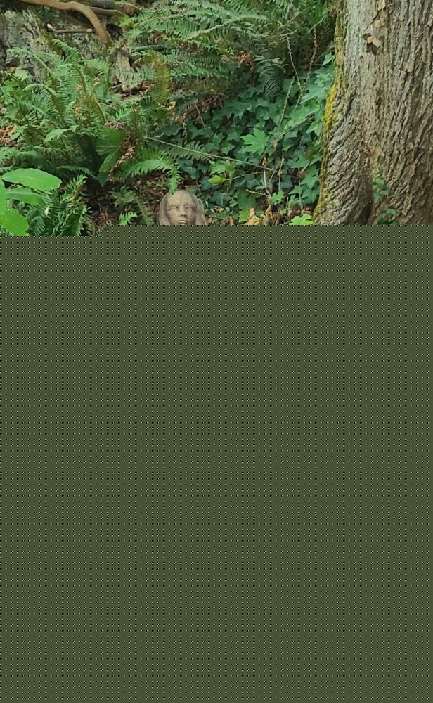 Comment on Mystery sighting: Art in the park by Bryan Standridge