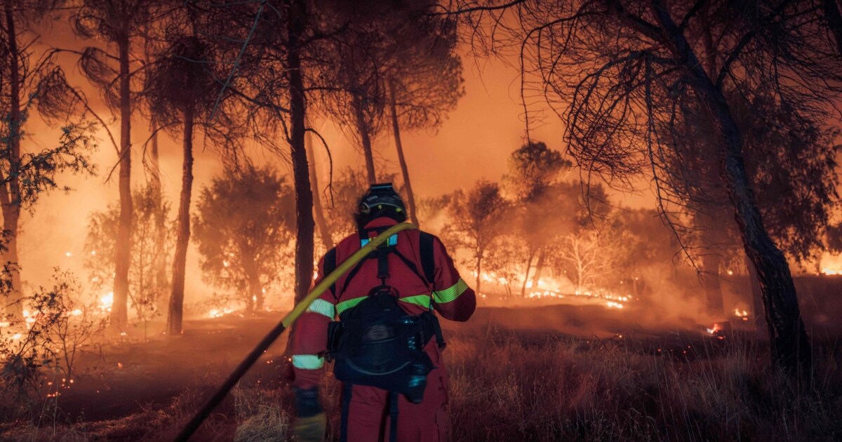 Sommer der Flammen - Europa erlebt eine neue Dimension der Waldbrände