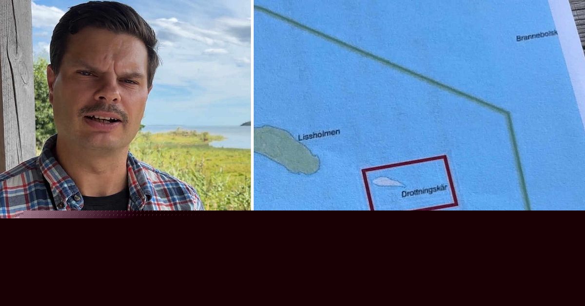Ny skarvkoloni hittad i Nyköping – kommunen ansöker om skyddsjakt