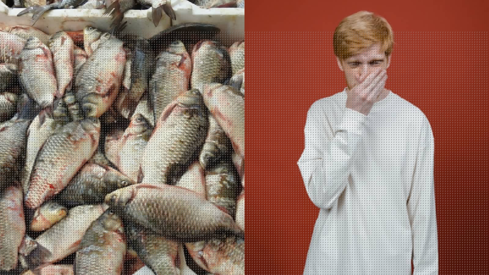 Town finally manages to remove 300,000 gallons of rotting fish after 20 years of terrible smell