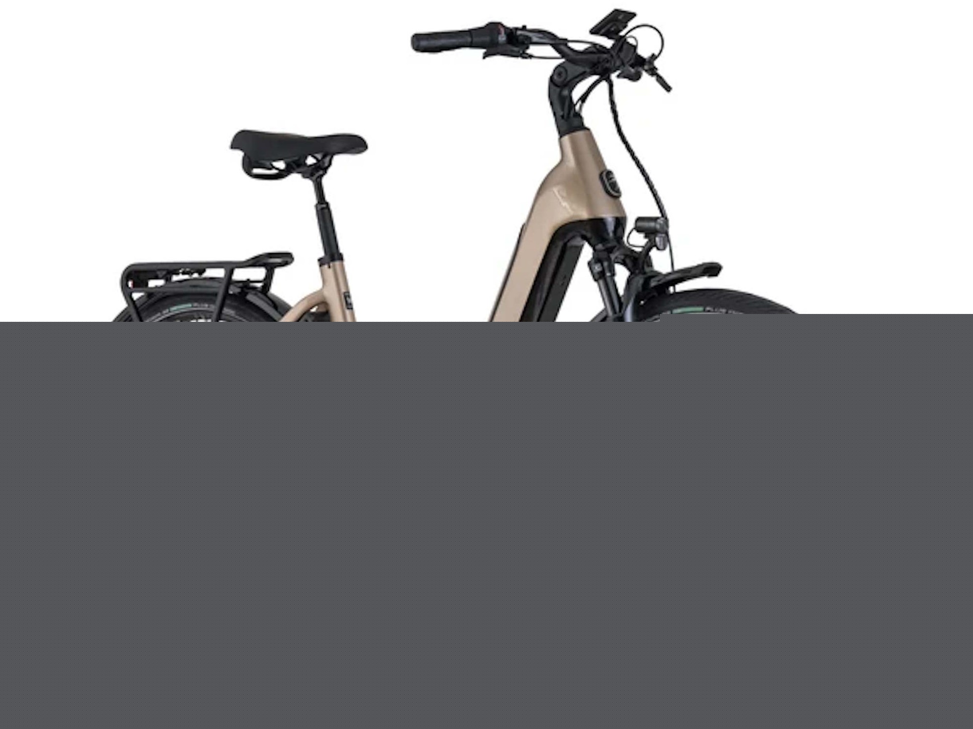 Low step e-bike launches with 90 Nm Bosch mid-drive motor, 800 Wh battery and high payload capacity