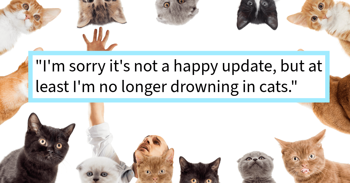 ‘I am literally swimming in cats.’: A visit home unmasks a mother’s decline into dementia and an extreme hoarding situation, forcing a son to call authorities and confiscate over 200 cats from an unsanitary home