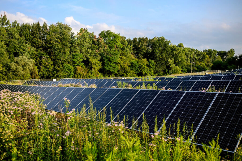 Solar power is about to get more expensive. Thank Trump.