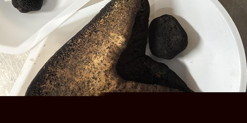 Several megalodon teeth found on the ocean floor offer new clues about the ancient giant
