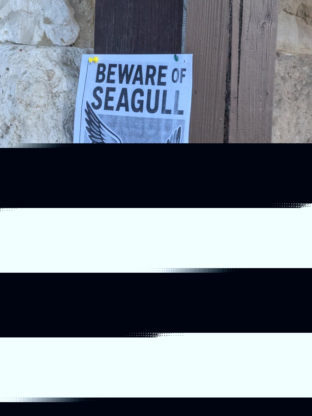 Funny Store Signs - Beware