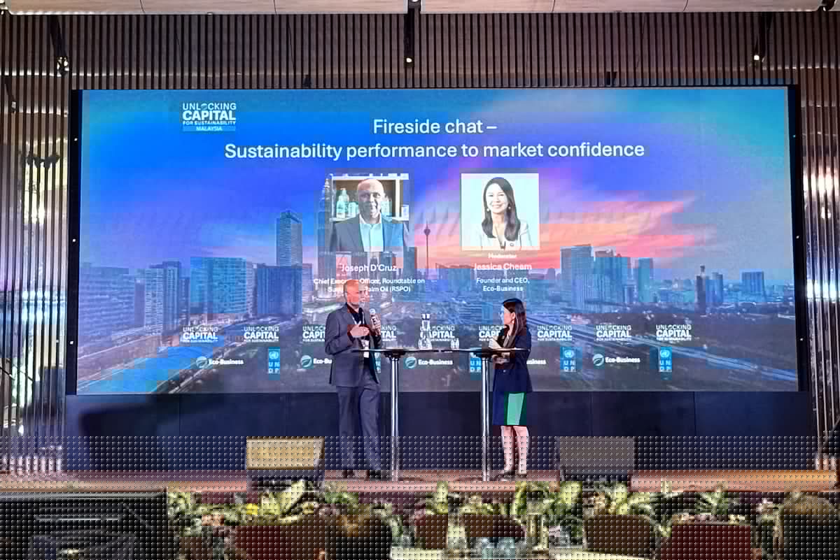 RSPO launches new guidance to leverage sustainable palm oil certification for IFRS Sustainability Disclosure Standards