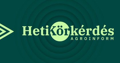 Rugalmas kukoricahibridek: miért fontosak a termesztésben? – Heti Körkérdés Extra