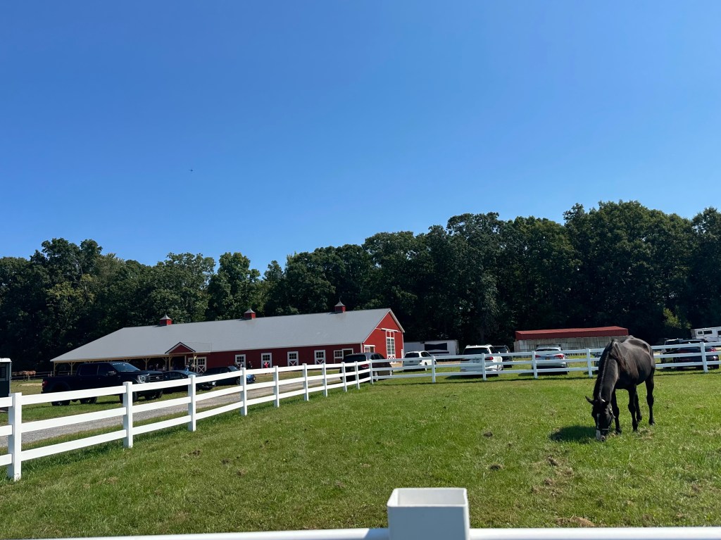 The Dake Foundation for Children, Therapeutic Horses of Saratoga team to fund Equine-Assisted Psychotherapy for local youth