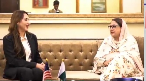 US Embassy delegation meets Faryal Talpur in Naudero