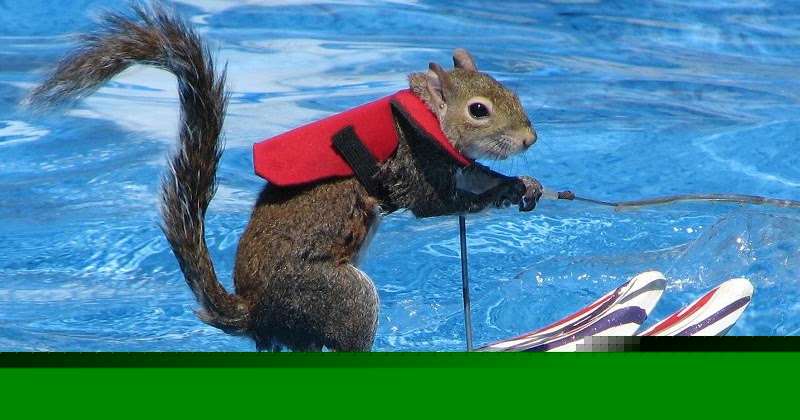 Overland Park Fights For Pool Party Rights