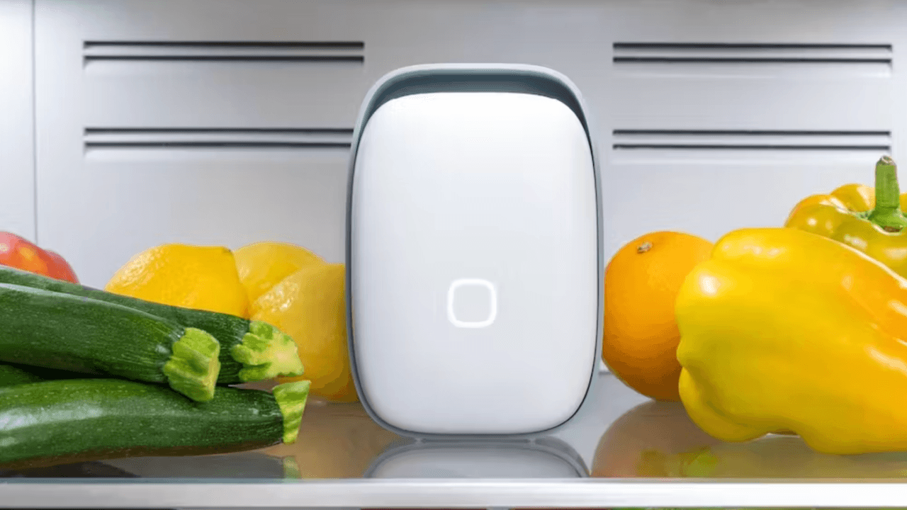 Shelfy, la nostra prova del purificatore da frigo che fa durare il cibo di più